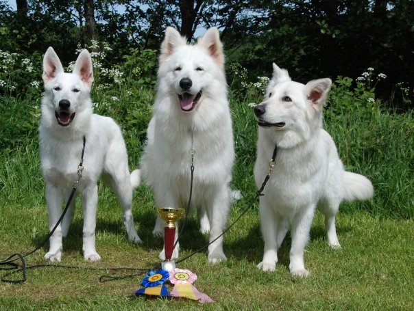 4543_85122947671_7671112_n