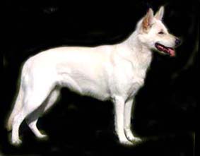 Aska1-svart.tabel. 200408