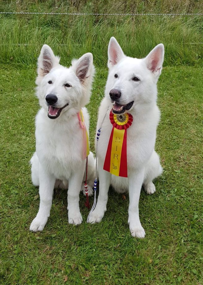 aston och rizzo eskilstuna